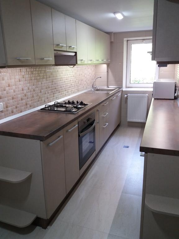 Vila Viitorul Buşteni Esterno foto